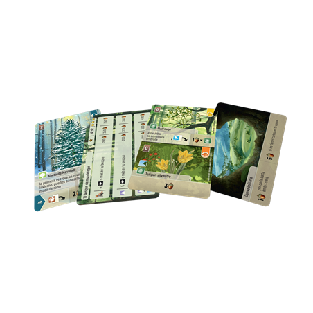 FOREST SHUFFLE: EXPLORACION